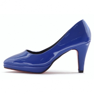 https://what-is-fashion.com/5331-41304-thickbox/women-s-pointed-toe-glossy-platform-high-heels-pumps.jpg