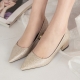 Women's Glitter Beige Pointed Toe Metallic Med Heel Pumps