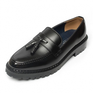 https://what-is-fashion.com/6021-46647-thickbox/men-s-apron-toe-black-synthetic-leather-combat-sole-platform-high-heel-tassel-loafers-shoes.jpg