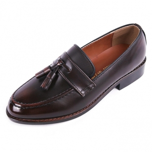 https://what-is-fashion.com/6038-46816-thickbox/men-s-apron-toe-formal-brown-synthetic-leather-tassel-loafers-dress-shoes.jpg