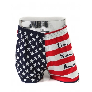 https://what-is-fashion.com/646-4674-thickbox/mens-us-flag-cotton-boxer-briefs-underwear-trunk-slip-pants.jpg